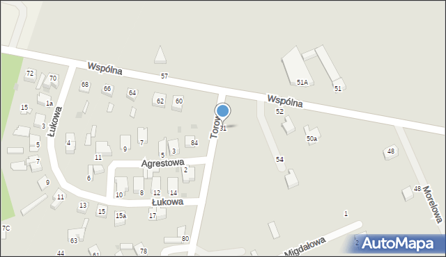 Pabianice, Torowa, 31, mapa Pabianic