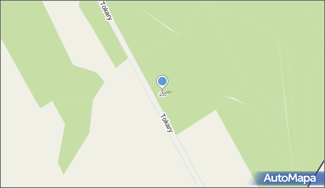 Tokary, Tokary, 100, mapa Tokary