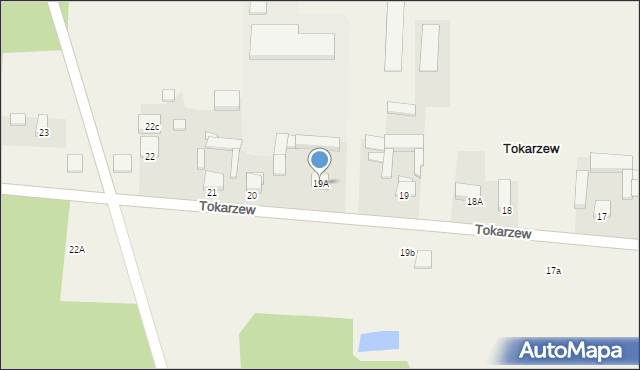 Tokarzew, Tokarzew, 19A, mapa Tokarzew