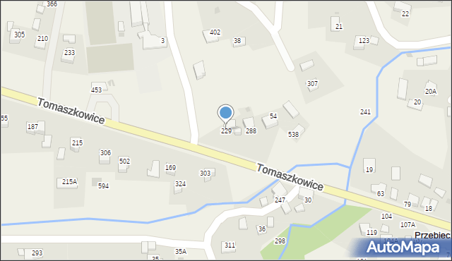 Tomaszkowice, Tomaszkowice, 229, mapa Tomaszkowice