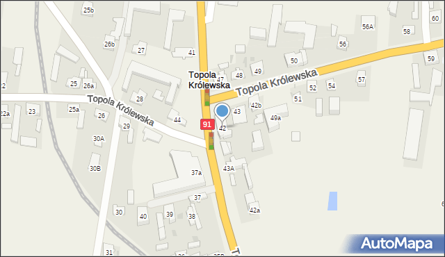 Topola Królewska, Topola Królewska, 42, mapa Topola Królewska