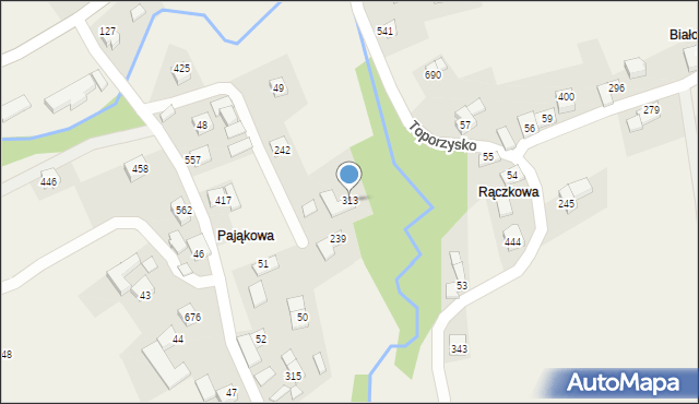 Toporzysko, Toporzysko, 313, mapa Toporzysko