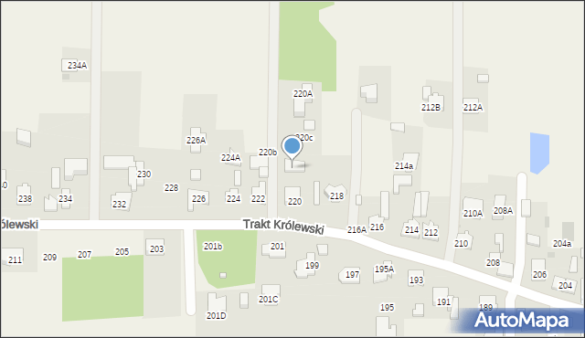 Borzęcin Duży, Trakt Królewski, 220A, mapa Borzęcin Duży