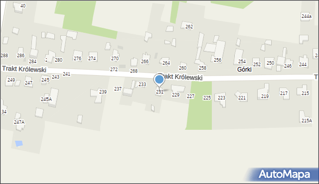 Borzęcin Duży, Trakt Królewski, 231, mapa Borzęcin Duży