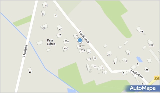 Częstochowa, Trzcinowa, 19, mapa Częstochowy