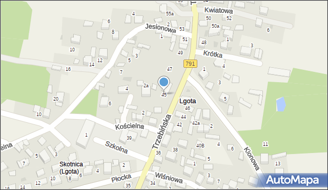 Lgota, Trzebińska, 45, mapa Lgota