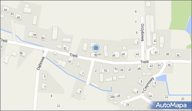 Mechowo, Trelli Zygmunta, ks., 50, mapa Mechowo