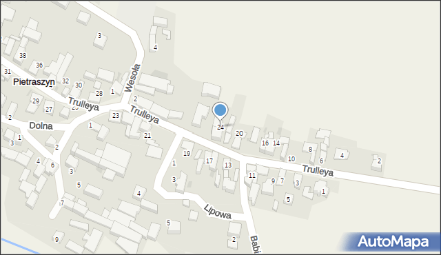 Pietraszyn, Trulleya, 24, mapa Pietraszyn