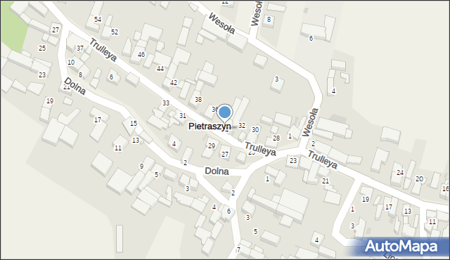 Pietraszyn, Trulleya, 34, mapa Pietraszyn