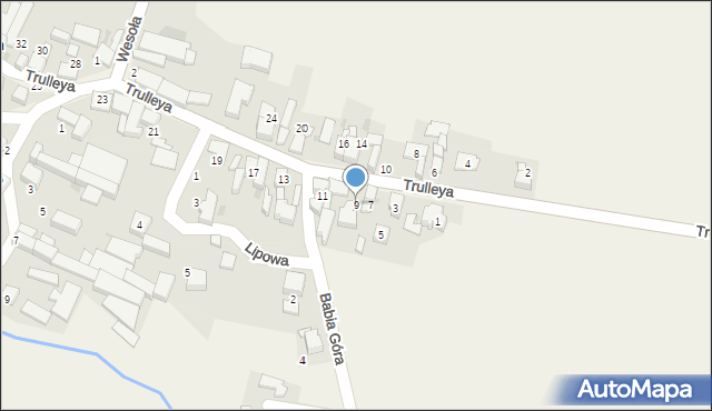 Pietraszyn, Trulleya, 9, mapa Pietraszyn