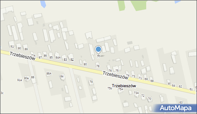 Trzebieszów, Trzebieszów, 77, mapa Trzebieszów