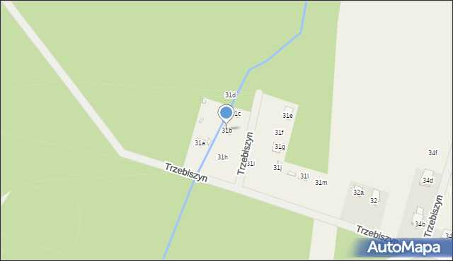 Trzebiszyn, Trzebiszyn, 31b, mapa Trzebiszyn