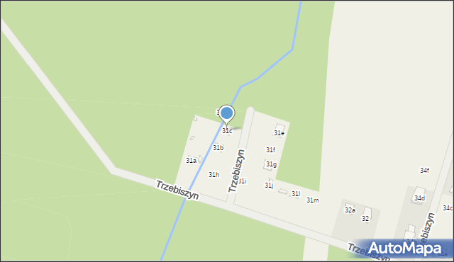 Trzebiszyn, Trzebiszyn, 31c, mapa Trzebiszyn