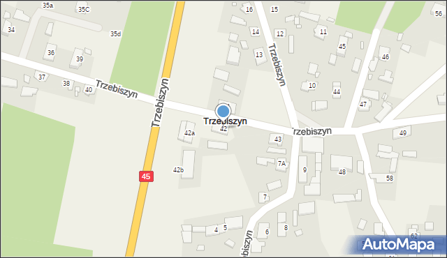 Trzebiszyn, Trzebiszyn, 42, mapa Trzebiszyn