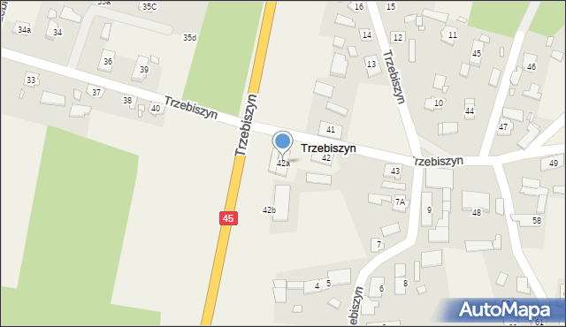 Trzebiszyn, Trzebiszyn, 42a, mapa Trzebiszyn