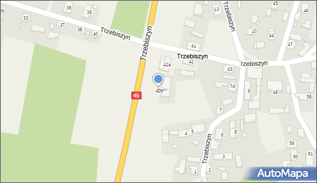 Trzebiszyn, Trzebiszyn, 42b, mapa Trzebiszyn