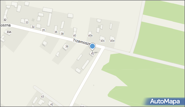 Trzemoszna, Trzemoszna, 41, mapa Trzemoszna