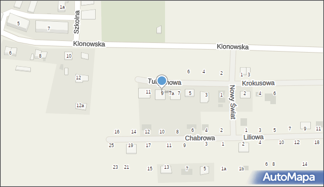 Czerlejno, Tulipanowa, 9, mapa Czerlejno