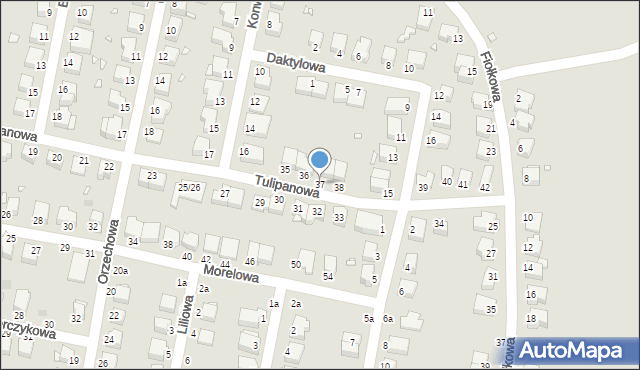 Legnica, Tulipanowa, 37, mapa Legnicy