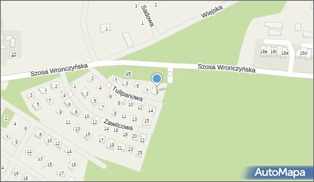 Stęszewko, Tulipanowa, 9, mapa Stęszewko