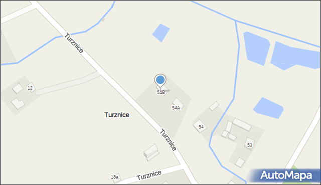 Turznice, Turznice, 54B, mapa Turznice