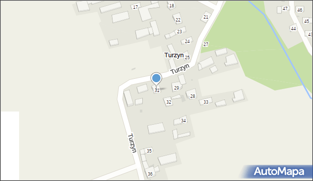 Turzyn, Turzyn, 31, mapa Turzyn