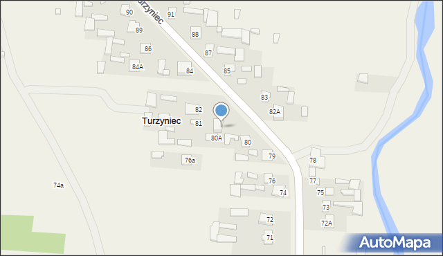 Turzyniec, Turzyniec, 81A, mapa Turzyniec