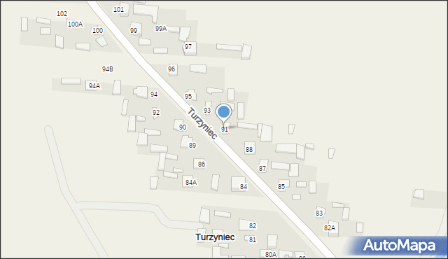 Turzyniec, Turzyniec, 91, mapa Turzyniec