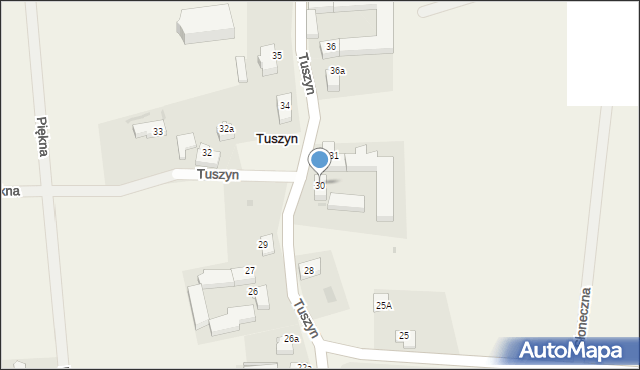 Tuszyn, Tuszyn, 30, mapa Tuszyn