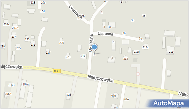 Lublin, Urodzajna, 1, mapa Lublina