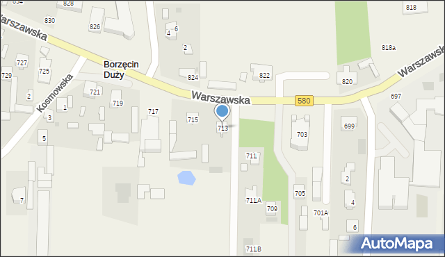 Borzęcin Duży, Warszawska, 713, mapa Borzęcin Duży