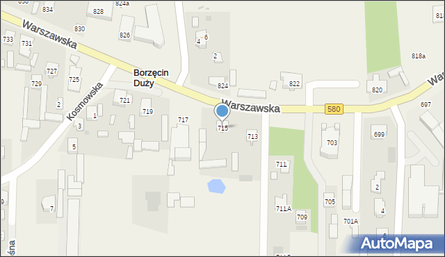 Borzęcin Duży, Warszawska, 715, mapa Borzęcin Duży