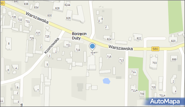 Borzęcin Duży, Warszawska, 717, mapa Borzęcin Duży