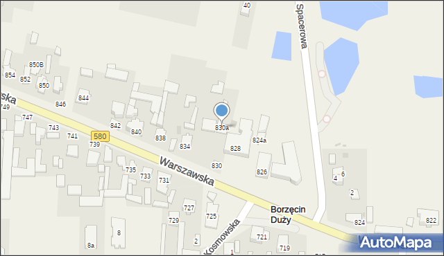 Borzęcin Duży, Warszawska, 830a, mapa Borzęcin Duży