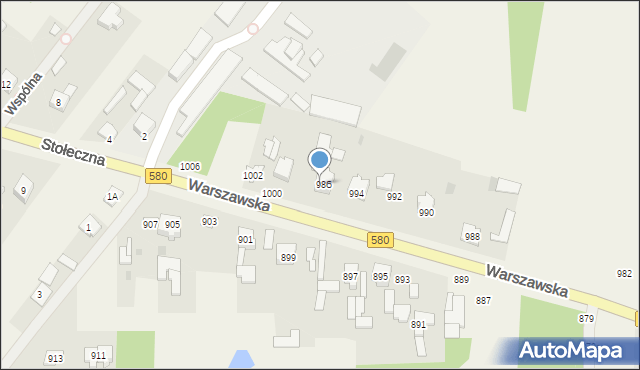 Borzęcin Mały, Warszawska, 996, mapa Borzęcin Mały