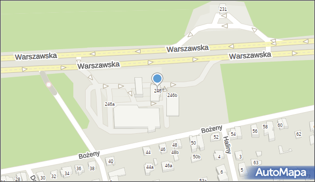 Poznań, Warszawska, 246, mapa Poznania