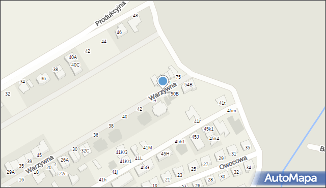 Święciechowa, Warzywna, 48, mapa Święciechowa