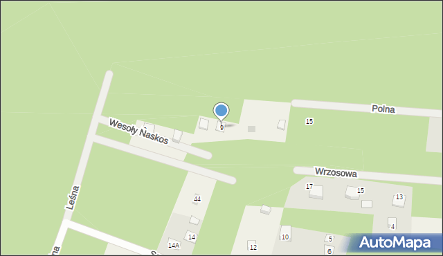 Adamów-Parcel, Wesoły Naskos, 9, mapa Adamów-Parcel