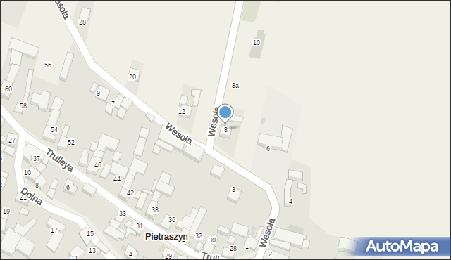 Pietraszyn, Wesoła, 8, mapa Pietraszyn