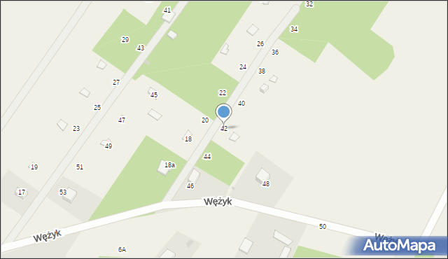 Wężyk, Wężyk, 42, mapa Wężyk