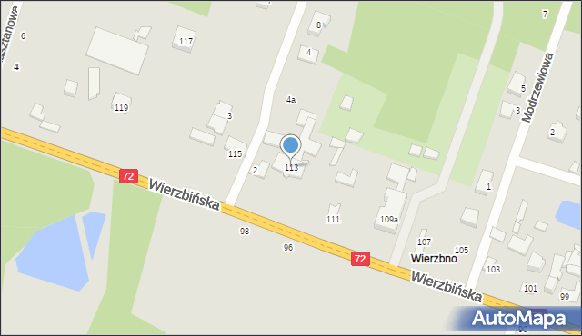 Aleksandrów Łódzki, Wierzbińska, 113, mapa Aleksandrów Łódzki