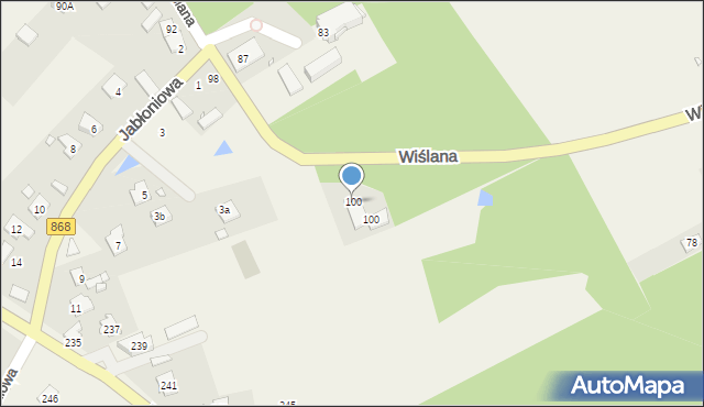 Cieciszew, Wiślana, 100, mapa Cieciszew