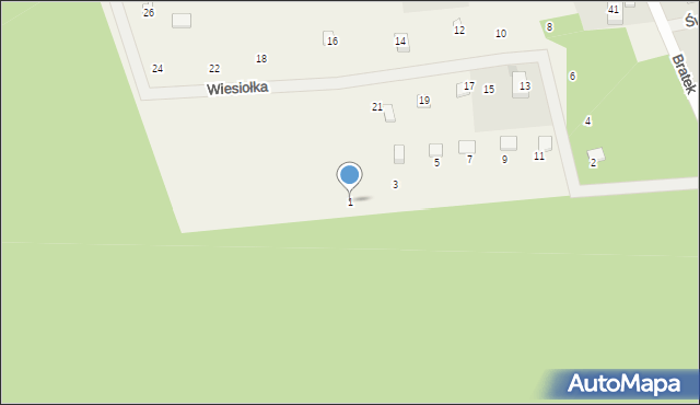 Czapielsk, Wiesiołka, 1, mapa Czapielsk