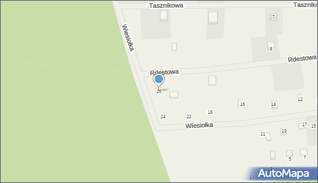 Czapielsk, Wiesiołka, 26, mapa Czapielsk