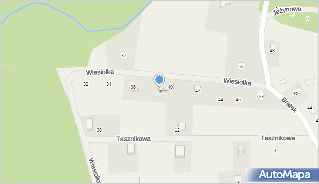 Czapielsk, Wiesiołka, 38, mapa Czapielsk
