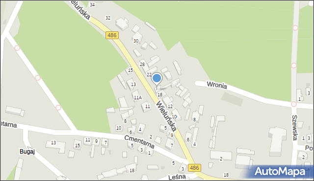 Działoszyn, Wieluńska, 20, mapa Działoszyn