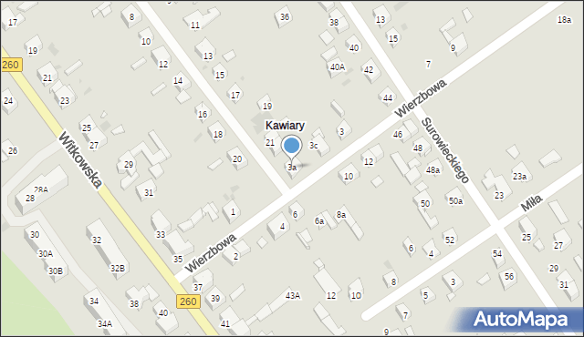 Gniezno, Wierzbowa, 3a, mapa Gniezna