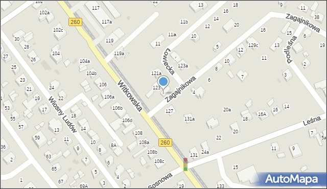 Gniezno, Witkowska, 125, mapa Gniezna