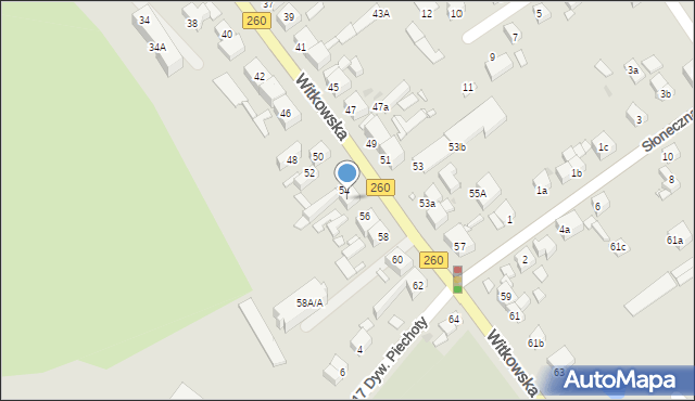 Gniezno, Witkowska, 54A, mapa Gniezna