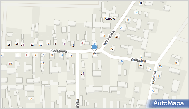 Kurów, Wieluńska, 22, mapa Kurów